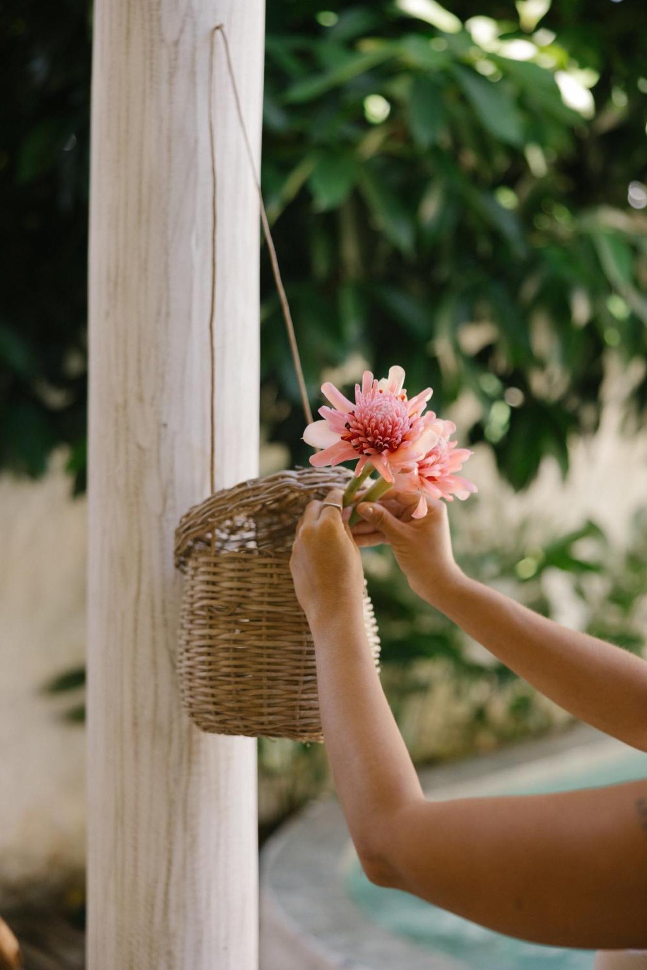 Pousada Villa Cacau Trancoso Ngoại thất bức ảnh